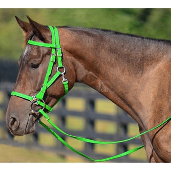 LIME GREEN Quick Change HALTER BRIDLE with Snap on Browband made from BETA BIOTHANE 