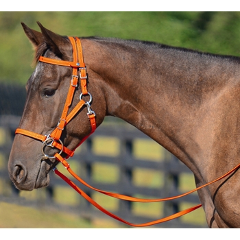 ORANGE Quick Change HALTER BRIDLE with Snap on Browband made from BETA BIOTHANE 