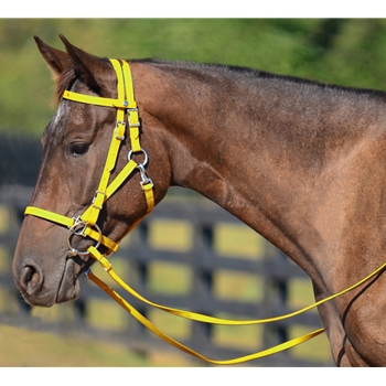 YELLOW Quick Change HALTER BRIDLE with Snap on Browband made from BETA BIOTHANE 