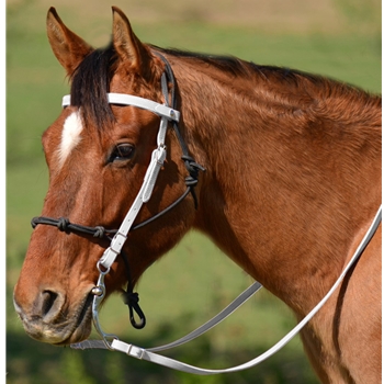 WHITE Snap on Browband WESTERN BRIDLE made from BETA BIOTHANE