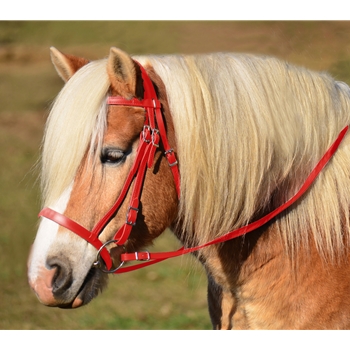 RED ENGLISH HUNT BRIDLE Made from Beta Biothane