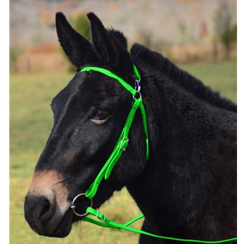 LIME GREEN MULE BRIDLE made from BETA BIOTHANE