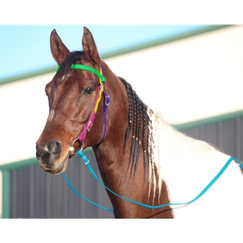 Rainbow WESTERN BRIDLE made from BETA BIOTHANE (5 Colors Mix N Match)
