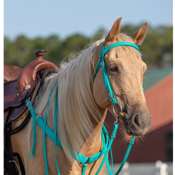 Teal Bridle made from Beta Biothane
