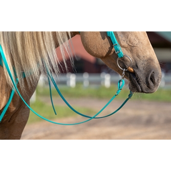 Teal RIDING REINS (Solid Colored) made from BETA BIOTHANE