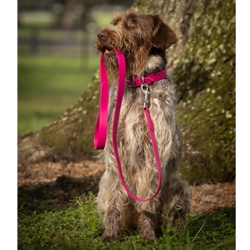DOG COLLAR made from Raspberry Pink BETA BIOTHANE