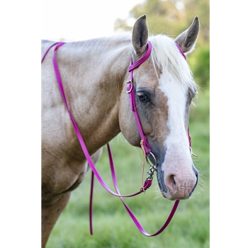 Raspberry Pink  Bridle made from Beta Biothane