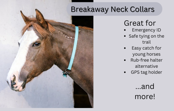 breakway neck collars