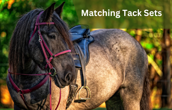 SAVE MONEY and Order a Bridle and Breast Collar TACK SET