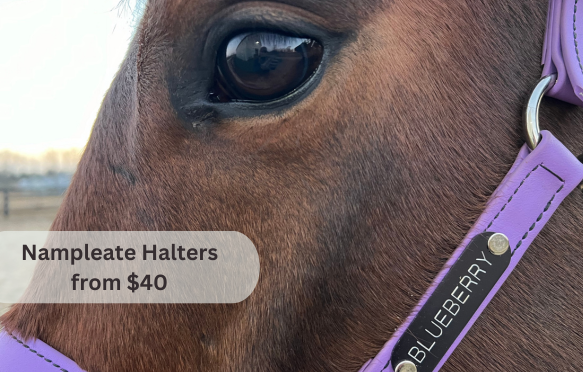 Nameplate Halters from $40