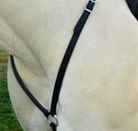 a horse that wears a breast collars