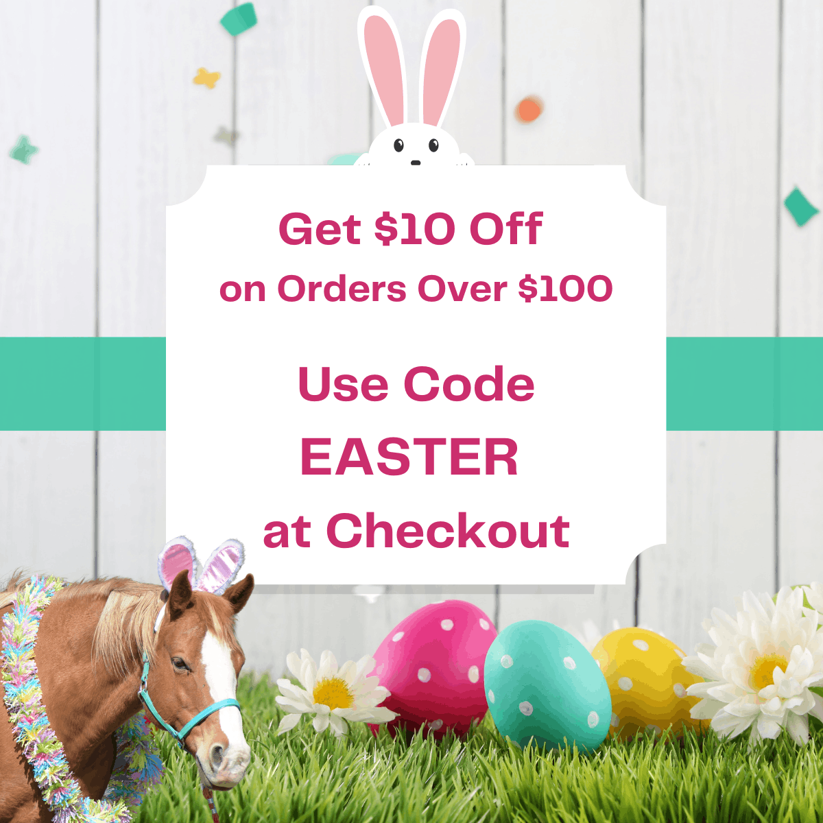 $10 Off at Two Horse Tack