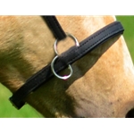 SIDEPULL NOSEBANDS/JUMPING HACKAMORES