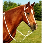 WESTERN BRIDLES - Split Ear Browbands