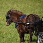 HARNESS EQUIPMENT