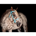 ENGLISH TRAIL BRIDLE Made from Beta Biothane