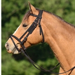 ENGLISH BRIDLE with CAVESSON
