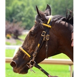 RACING BRIDLES