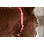 PINK Colored Tack