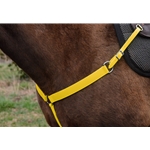 YELLOW Colored Tack