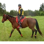 Endurance Riding