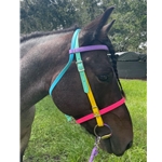 Rainbow Tack