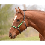 Shop by Size - TB/Warmblood/Thoroughbred Size