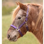 Large Pony Size