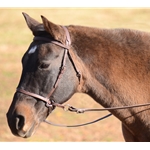 Scrawbrig Bitless Bridle