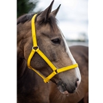 ECONOMY HALTERS