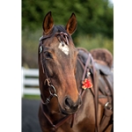 WESTERN BRIDLE With FUTURITY KNOT BROWBAND