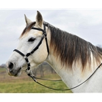 WESTERN STYLE BITLESS BRIDLE