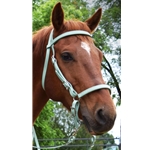 WESTERN STYLE BITLESS BRIDLE