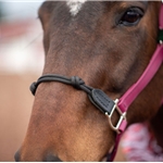 ROPE COMBO HALTERS