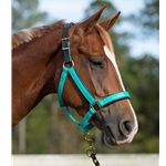 Safety Breakaway Halters