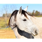 PICKET LINE NECK COLLAR