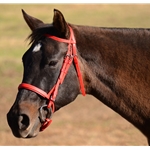 One Size Fits Most ENGLISH BRIDLE