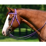 WESTERN TRAINING BRIDLE with QUICK CHANGE SNAPS