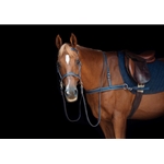 LEATHER 2 in 1 Bitless Bridles