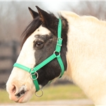 PACK HORSE HALTERS