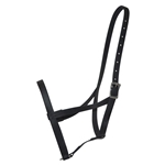 Riding/Driving UNDER HALTERS