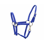 Regular FOAL/MINI HALTERS