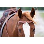 CENTER RING WESTERN BRIDLES