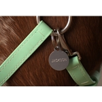 Halter, Bridle and Dog Collar Name Tags