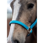 Shop Aqua Horse Tack