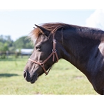 Medium Brown Tack