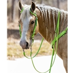 Apple Green Tack