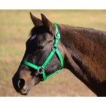 Kelly Green Tack