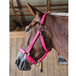 MULE Halters