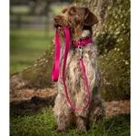 DOG LEASHES, LEADS & LONG LINES